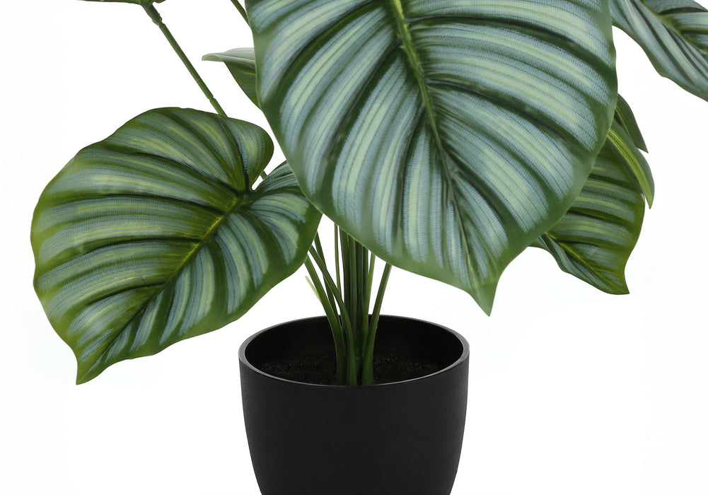 Artificial Plant, 24" Tall, Calathea, Indoor, Faux, Fake, Table, Greenery, Potted, Real Touch, Decorative - Green / Black