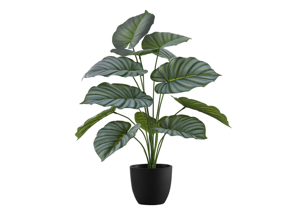 Artificial Plant, 24" Tall, Calathea, Indoor, Faux, Fake, Table, Greenery, Potted, Real Touch, Decorative - Green / Black