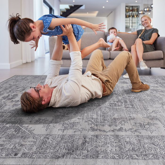 Oriental Non-Shedding Living Room Bedroom Dining Home Office Stylish And Stain Resistant Area Rug - Silver