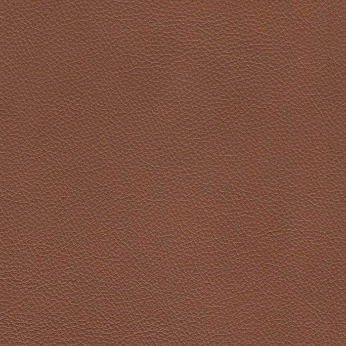 Solana - Leather Chair