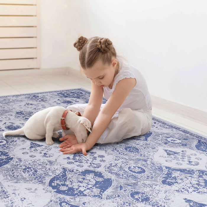 2' x 3' Area Rug, Machine Washable Area Rugs, Low-Pile Non-Slip Non-Shedding Foldable Kid & Pet Friendly, Area Rugs For Living Room, Bedroom, Kitchen, Dining Room Rug, Perfect Gift - Blue