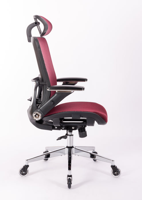 Ergonomic Mesh Office Chair (RED MESH)