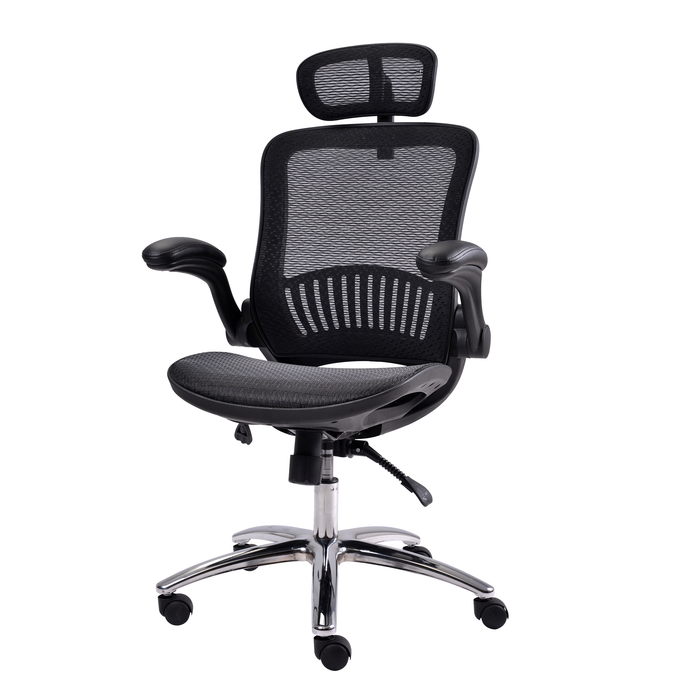 Office Chair - Ergonomic Mesh Chair  (Black)