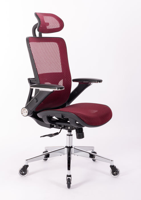 Ergonomic Mesh Office Chair (RED MESH)