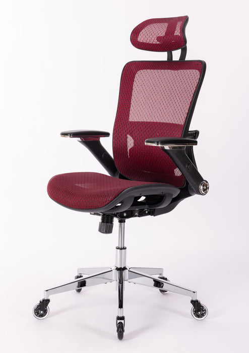 Ergonomic Mesh Office Chair (RED MESH)