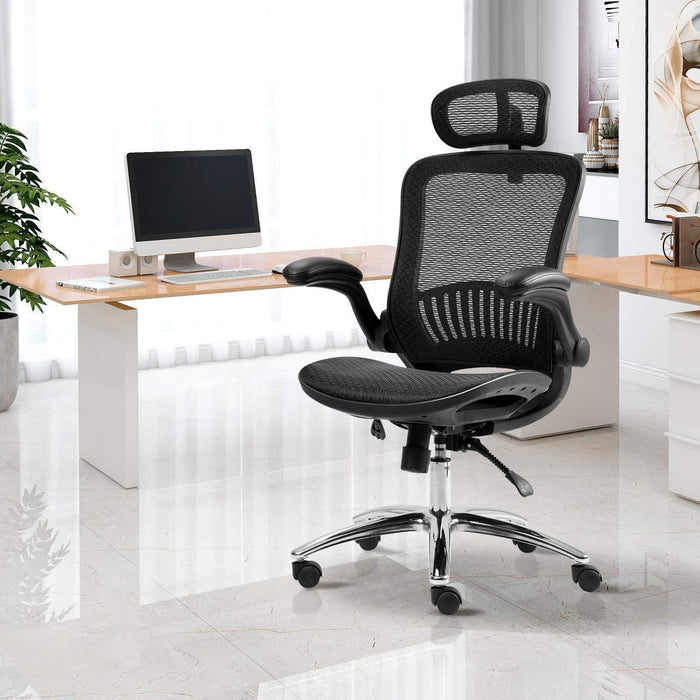 Office Chair - Ergonomic Mesh Chair  (Black)