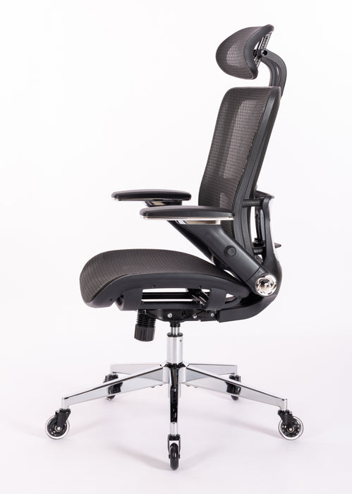 Ergonomic Mesh Office Chair w/ Adjustable Lumbar Support