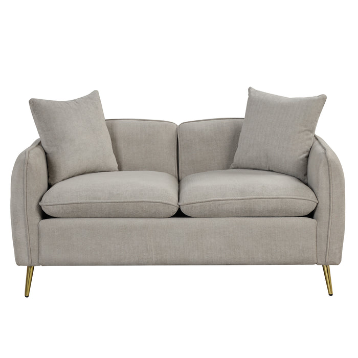 Modern Velvet Loveseat with 2 Pillows - Gray