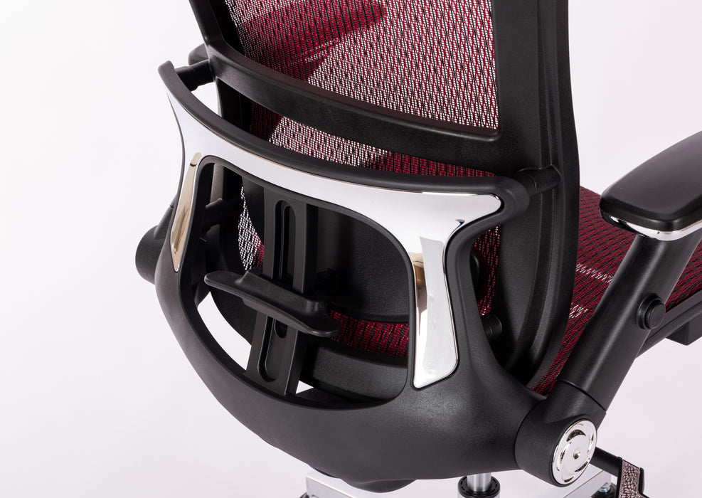 Ergonomic Mesh Office Chair (RED MESH)