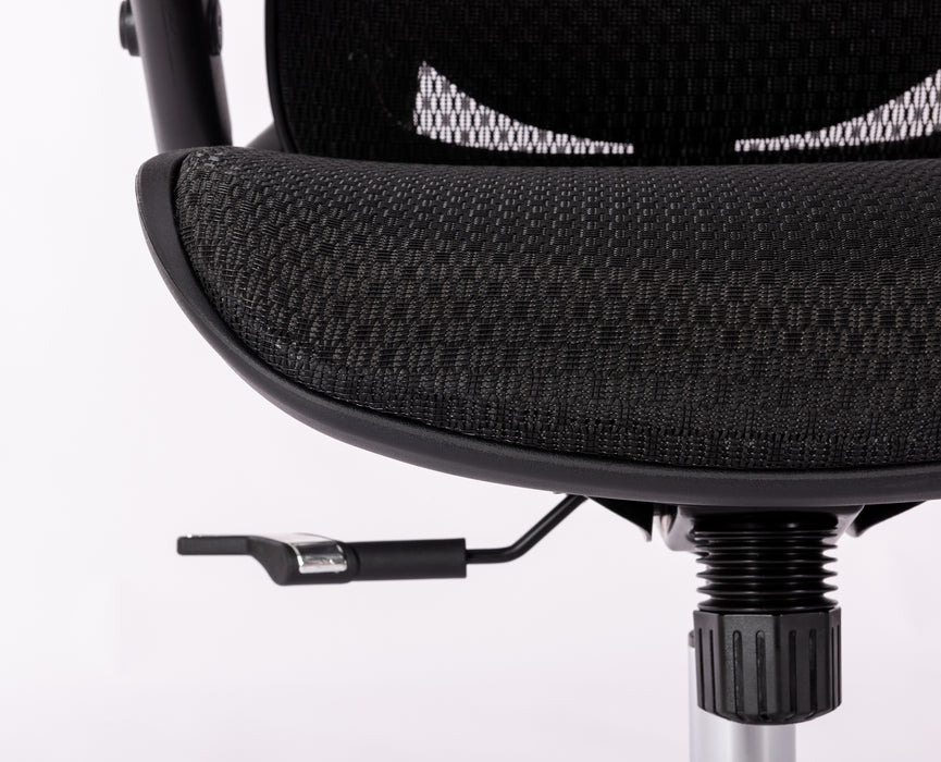 Ergonomic Mesh Office Chair w/ Adjustable Lumbar Support