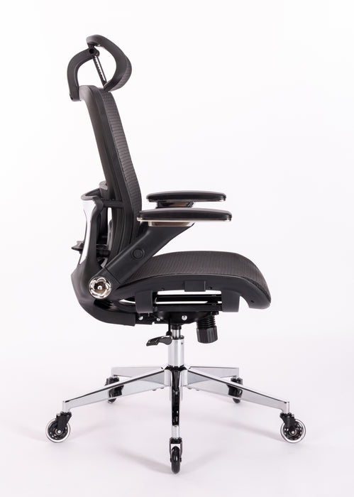 Ergonomic Mesh Office Chair w/ Adjustable Lumbar Support