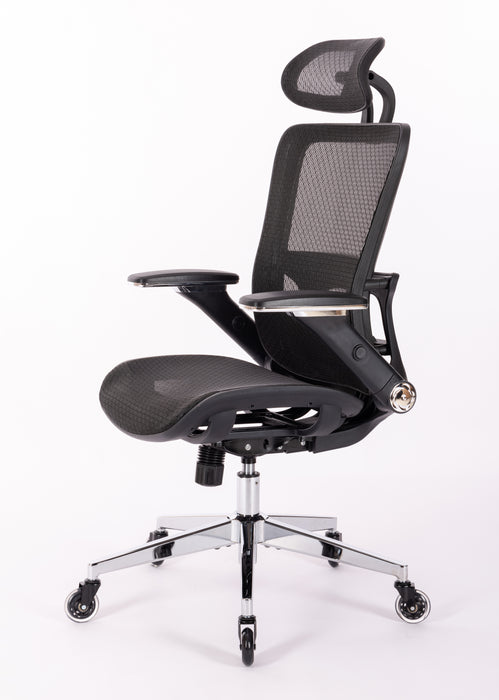 Ergonomic Mesh Office Chair w/ Adjustable Lumbar Support