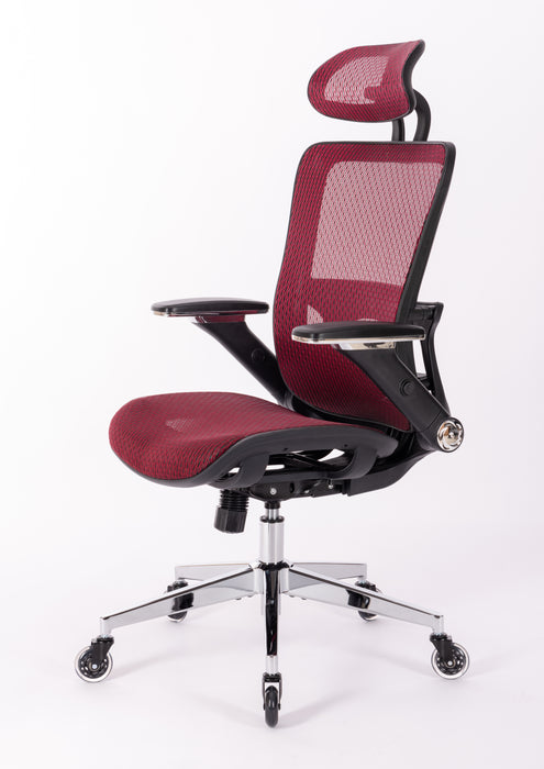 Ergonomic Mesh Office Chair (RED MESH)