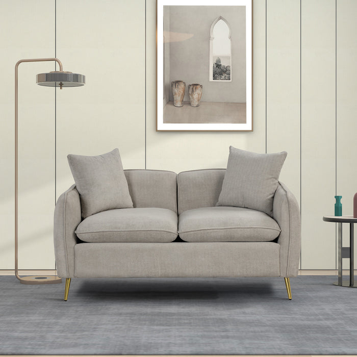 Modern Velvet Loveseat with 2 Pillows - Gray