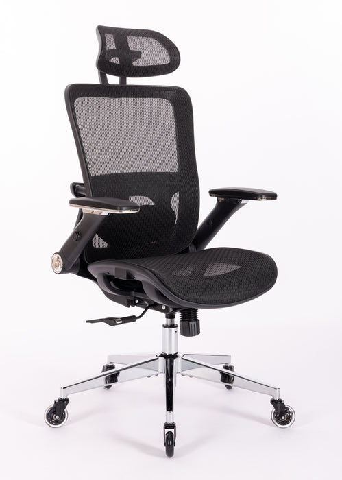 Ergonomic Mesh Office Chair w/ Adjustable Lumbar Support