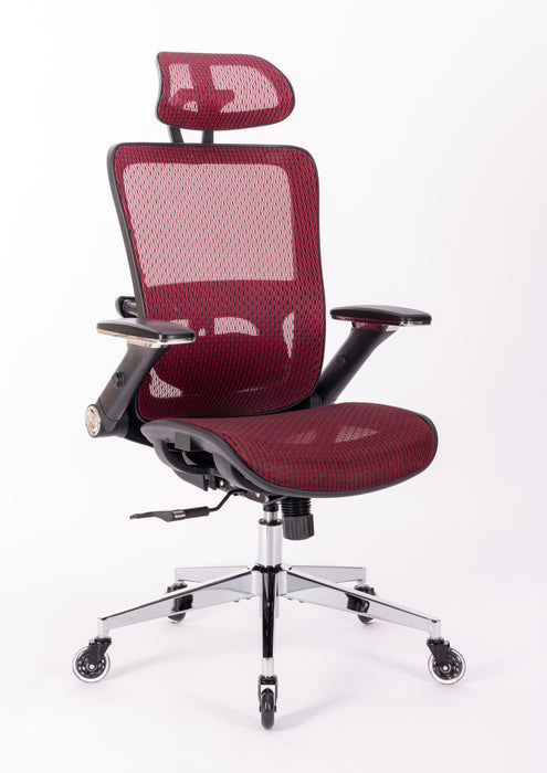 Ergonomic Mesh Office Chair (RED MESH)