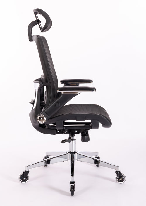 Ergonomic Mesh Office Chair w/ Adjustable Lumbar Support