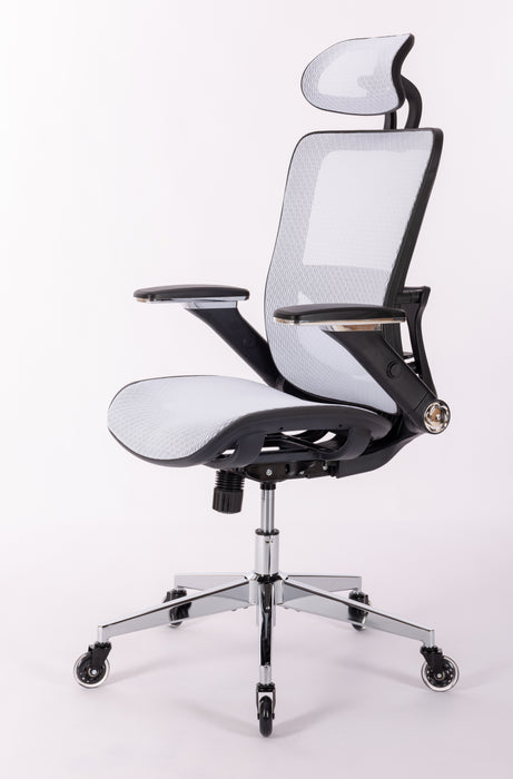 Ergonomic Mesh Office Chair - (WHITE MESH)