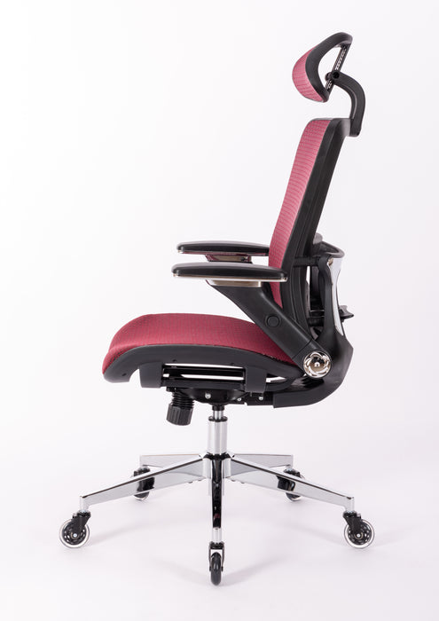 Ergonomic Mesh Office Chair (RED MESH)