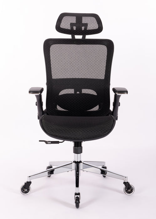 Ergonomic Mesh Office Chair w/ Adjustable Lumbar Support