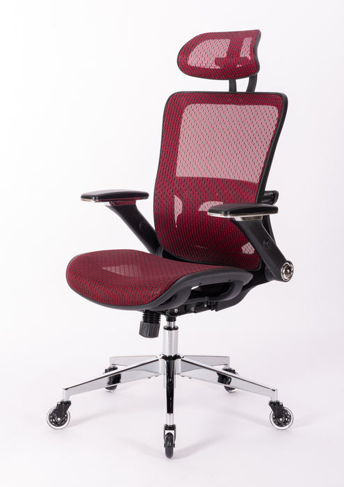 Ergonomic Mesh Office Chair (RED MESH)